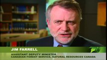 Forestry in Canada: Discover Sustainable Forest Management with Jim Farrell