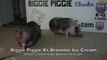 Biggie Piggie Vs Breyer's Vanilla Fudge Brownie Ice Cream v2.0.com