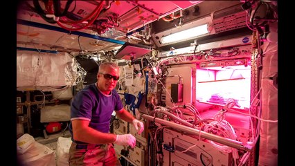 Nasa - La laitue de l'espace