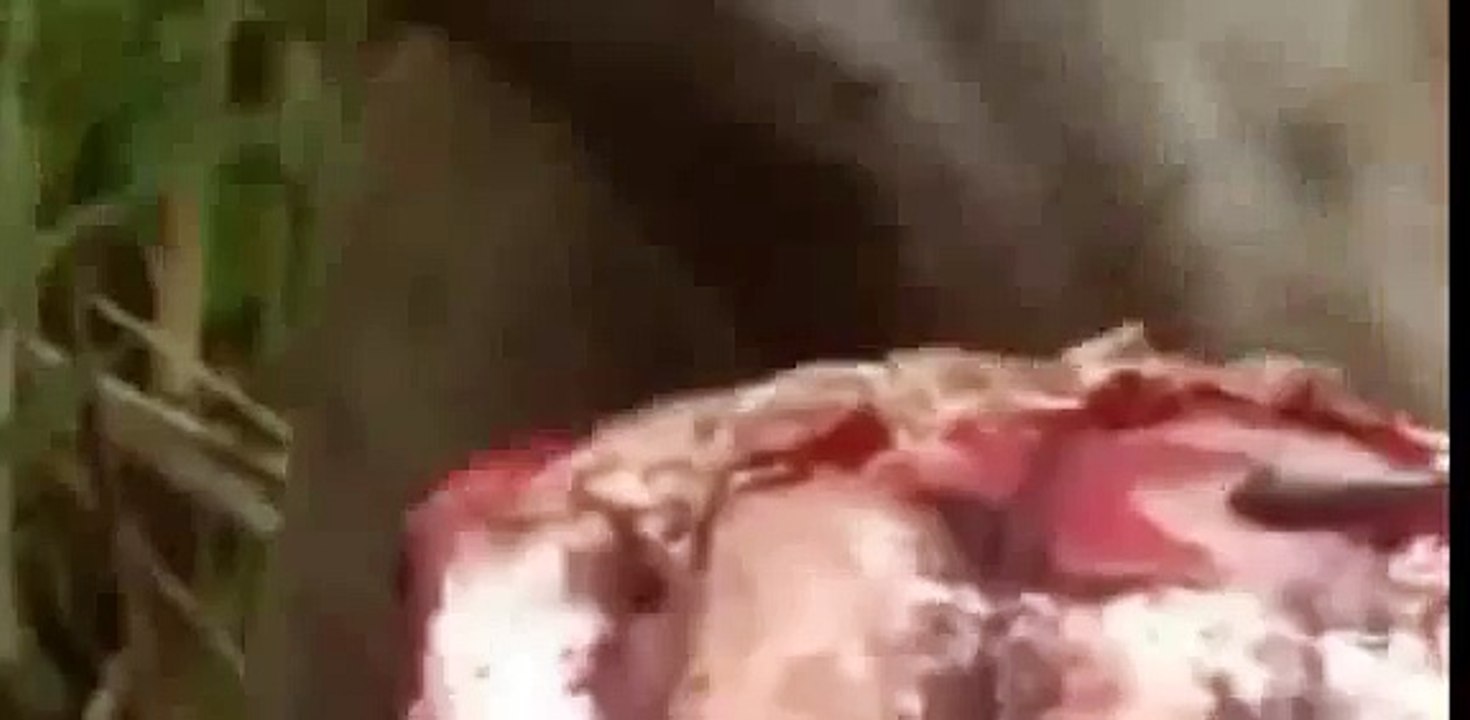 Animals Attack , Lion VS Hyena Documentary  Super Animal World