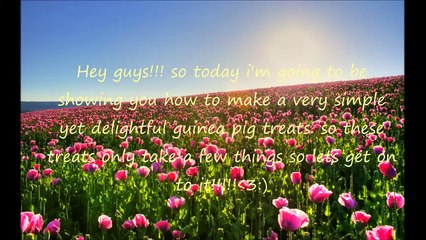 How to : Easy and healthy guinea pig treats!!!