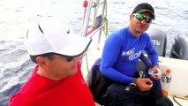 Nadando con Tiburones Azul y Martillo, Bitácora: Viaje de Buceo a Cabo San Lucas 2013