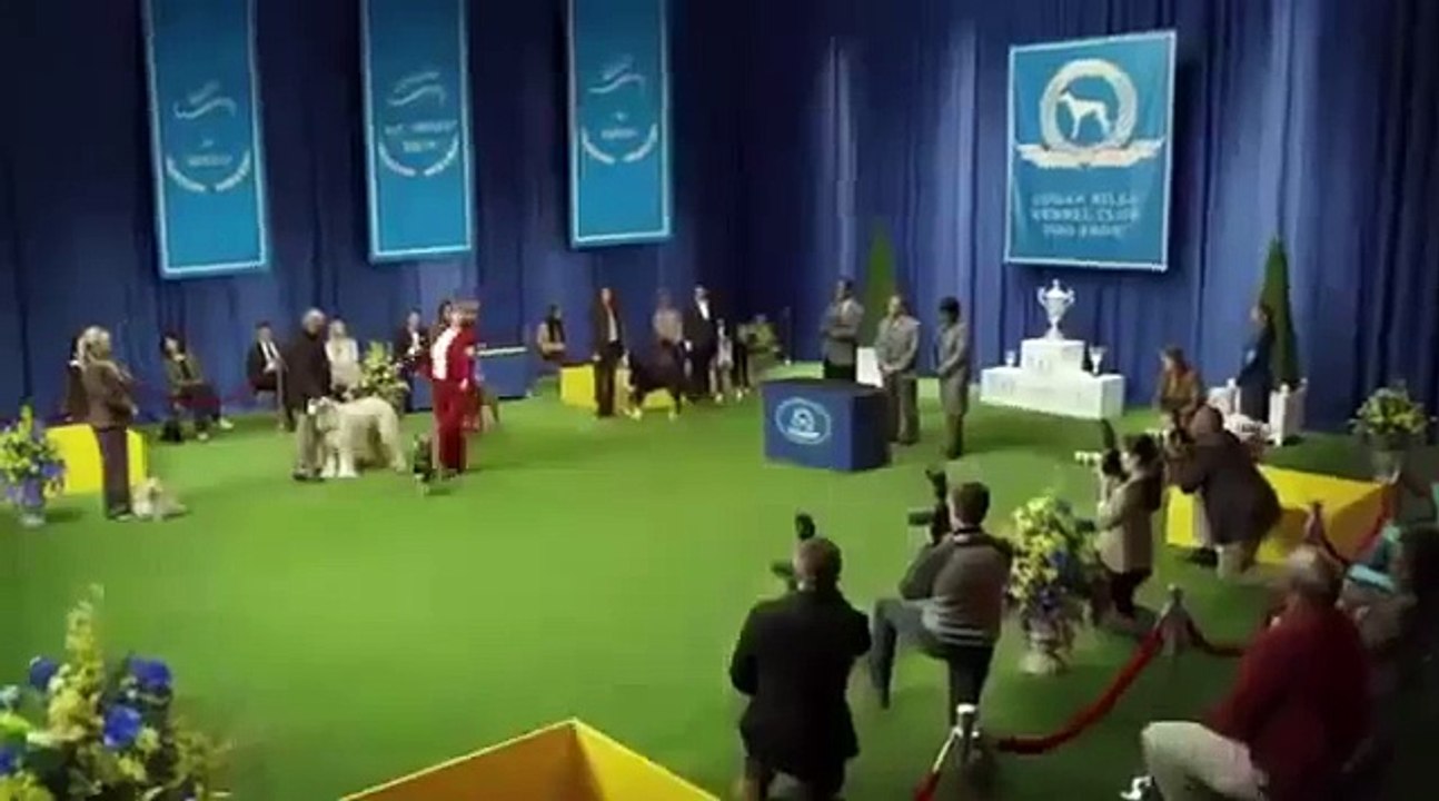 Super Bowl Commercials Best Super Bowl Commercials 2014 XLVIII