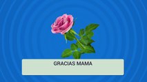 Feliz dia de La Madre - Gracias MAMA - Un Poema a Mi madre Ausente en el dia de La Madre