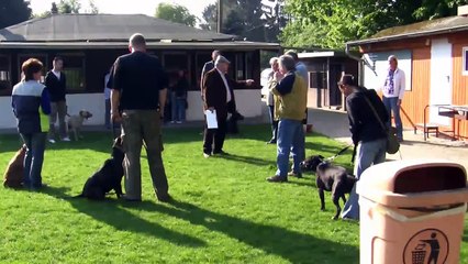 Christel Besteht den Wesenstest – So lief es!