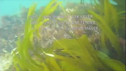 WE CHASSE BRETAGNE SUD AVRIL 2009