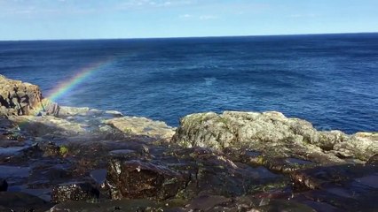 The Spout, East Coast Trail