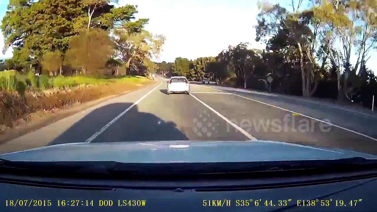Drunk Driver