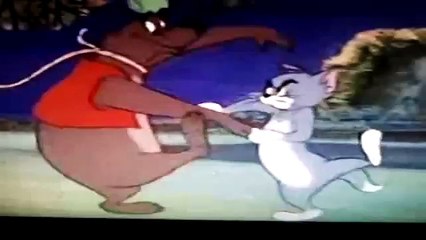 Tom and Jerry Cartoon Down Beat Bear  Filet  Meow
