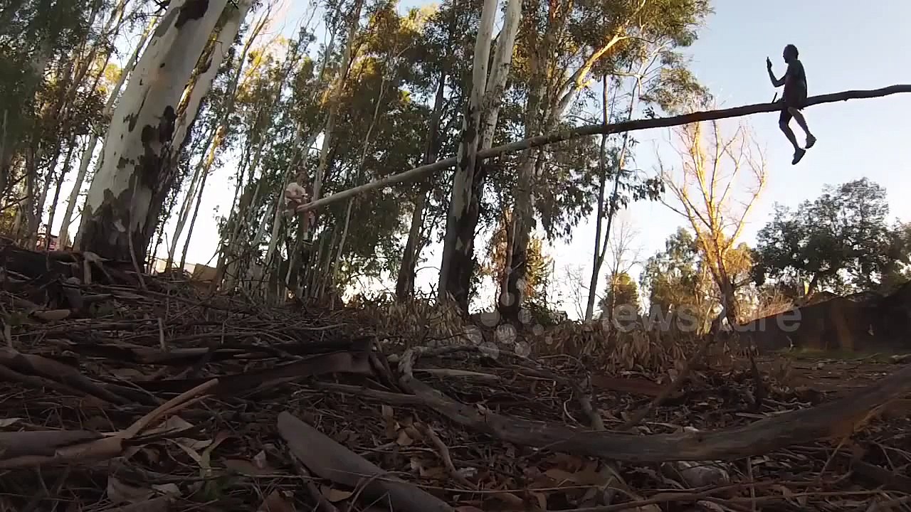 45 Foot Teeter Totter