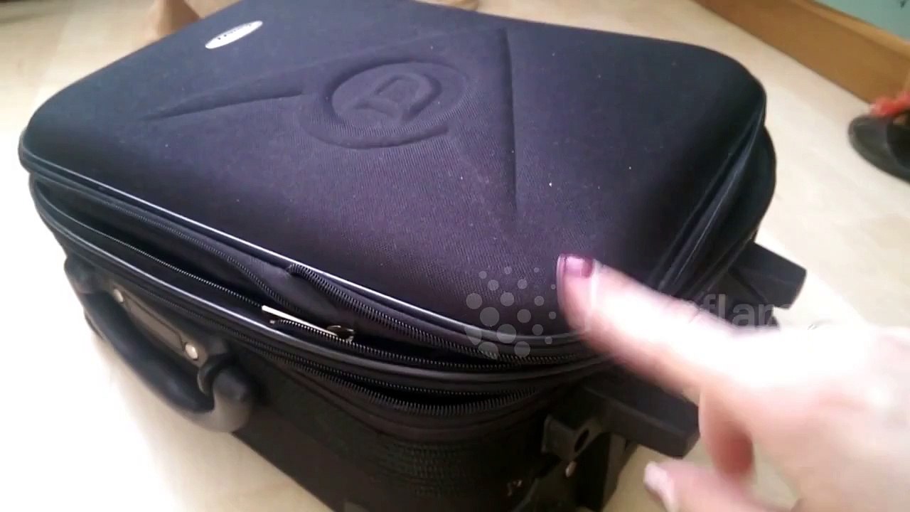 Cat and suitcase challenge