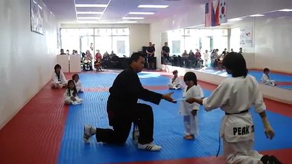 Little Boy Trying To Break Board In Taekwondo