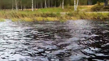 1,07 Meter Hecht Drill 2012 Schweden 1080p