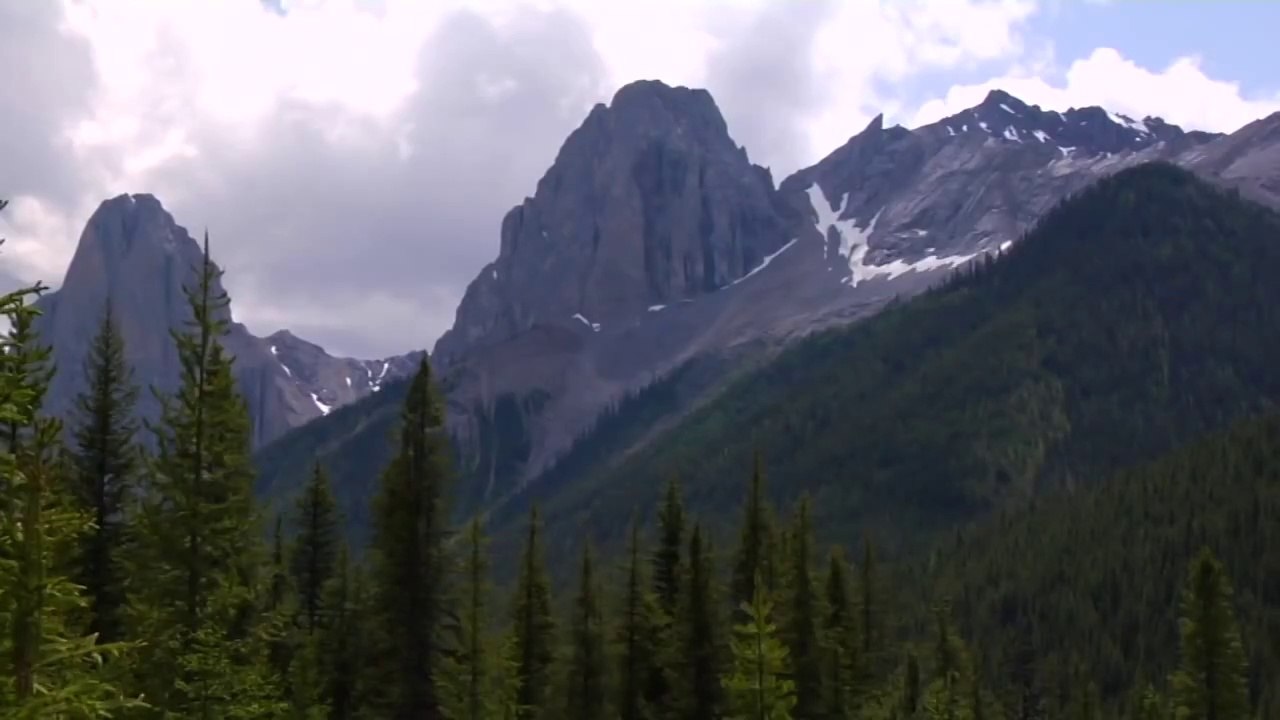 Canadian Rockies Horse Riding in Banff