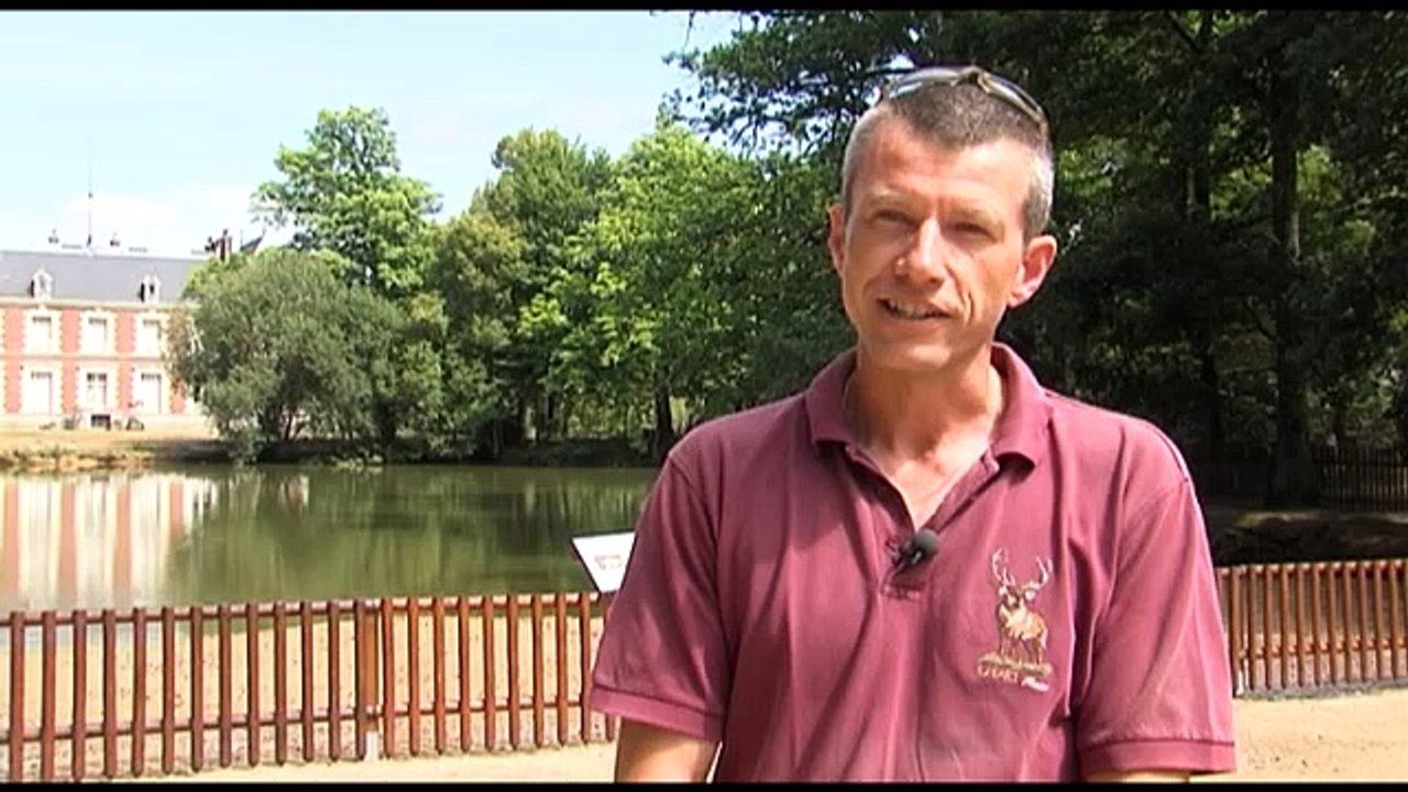 Tous en petit train à la découverte des animaux