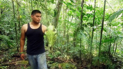 Tepejilotes Capeados Tezonapa, Ver.