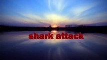 Shark Attacks 2015 Shark Attacks caught on camera #2