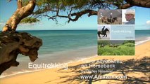 Equitrekking Travel Adventures on Horseback Book