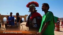Chariot Driving in Jerash with Equitrekking