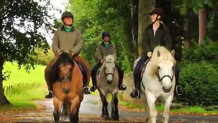 Scotland's Highland Pony on Equitrekking