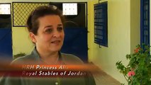 Jordan's Royal Stables Insider's Tour with Equitrekking