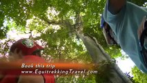 Equitrekking Travel Costa Rica Riding Vacation