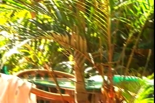 HELP KAMPALA UGANDA AFRICA GAY