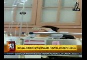 Lima: una rata se pasea por las ventanas del Hospital Arzobispo Loayza