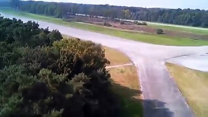 Cows investigate crashed drone