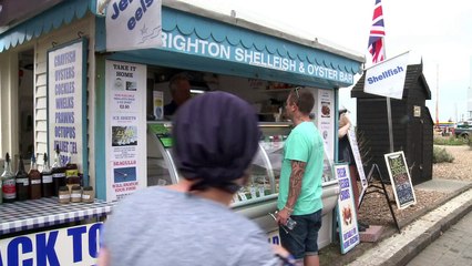 Les mouettes sèment la panique dans le sud de l'Angleterre