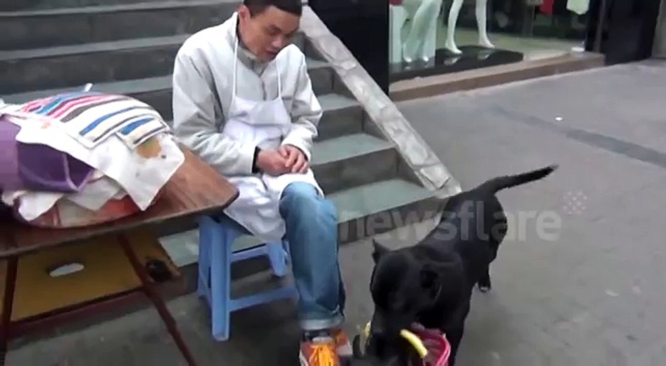 One Man and His Dog (Which Carries Another Dog)