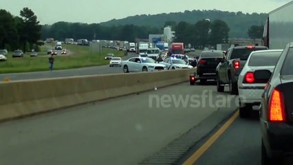 Pig escapes down Arkansas Interstate