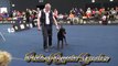 World Dog Show 2012 Salzburg Dobermann