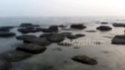 Fisherman surprises sleeping seal