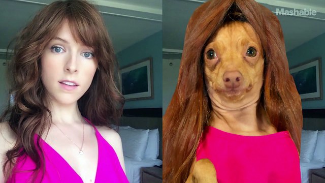 Tuna the Dog recreates Anna Kendrick's Instagram photos