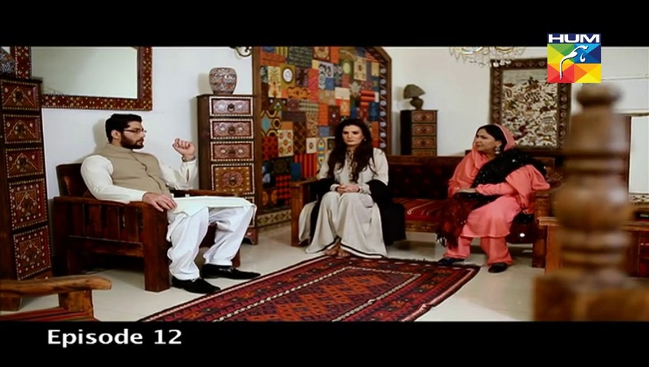 Ishq ibadat episode no 12 (10th august) By humtv