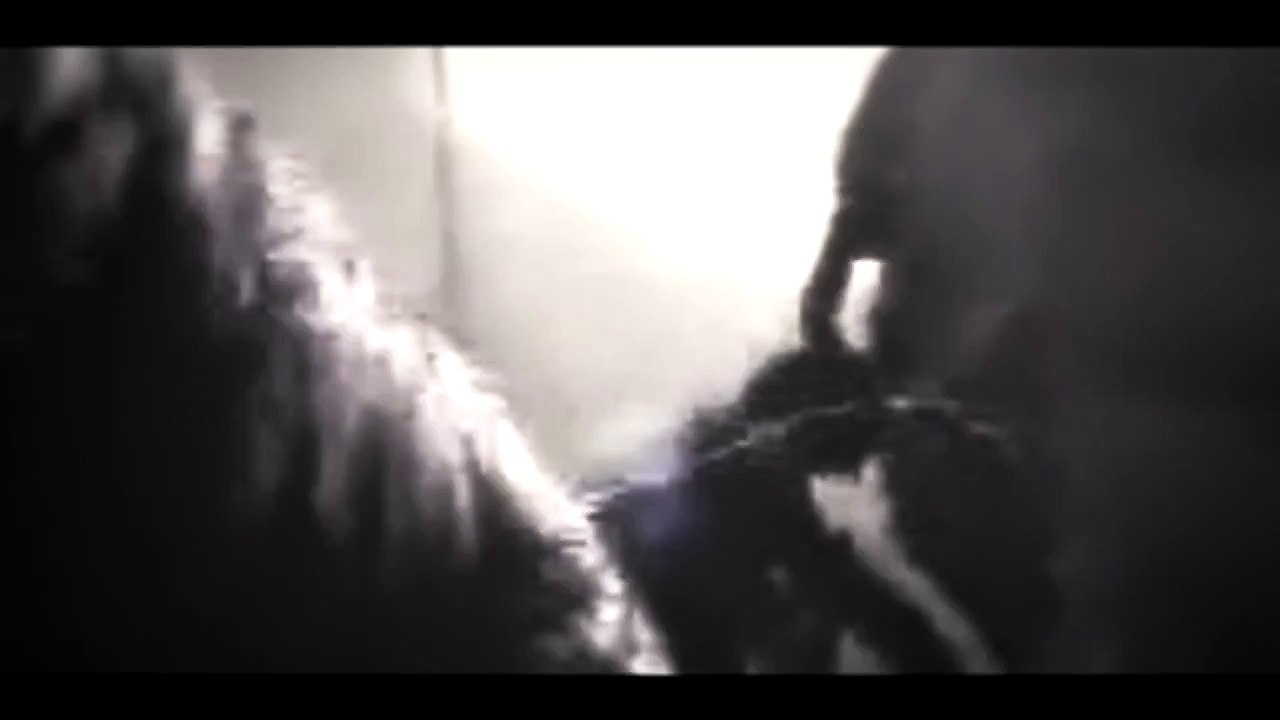 Man gets His Head Stuck in an Elephants Bum "Viral Video" REMIX!