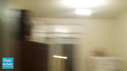 Les cafards envahissent l'appartement