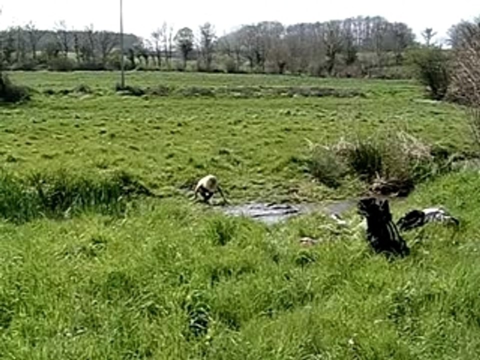 REMI DANS LA BOUE