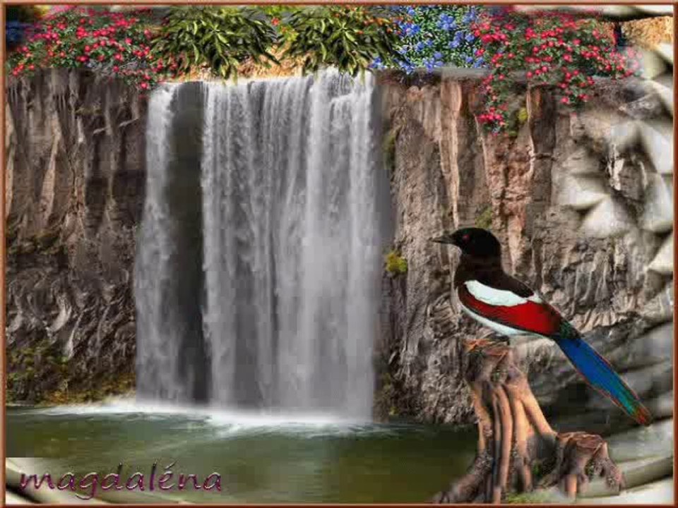 wedrowne ptaki