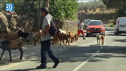 Desolador paisaje después del incendio en la Sierra de Gata