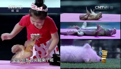 Chinese Girl Who Can Hypnotize Animals - Video Dailymotion
