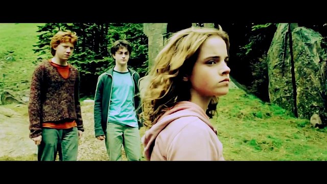 harry potter | draco + hermione | story |1-7|