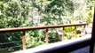 Pacuare Lodge en Costa Rica, entre los mejores eco-lodge del mundo.
