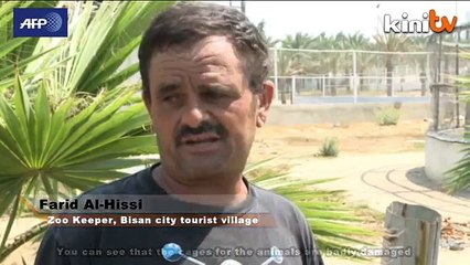 Gaza's animals caught in the cross fire