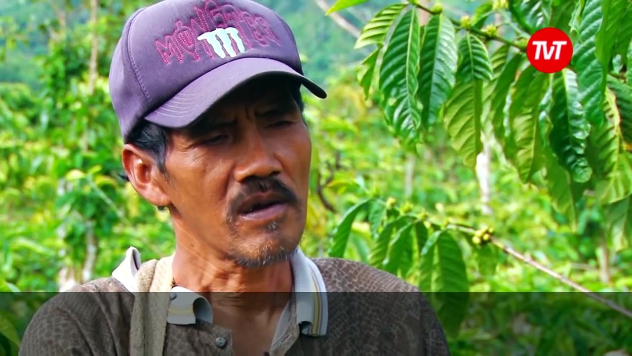 Ilegal loggers join elephant patrols