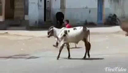 Shimla call girls and escort services