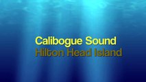 Calabogie Sound by Boat  in Hilton Head Island, Harbour Town, SC