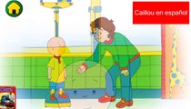 Caillou cartoon game playing doctor check-up-caillou english full episodes