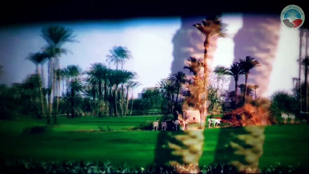 نشيد حزب النور الجديد للمنشد أبو عمار